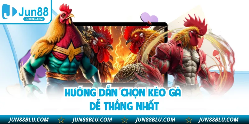 Hướng dẫn chọn kèo gà dễ thắng nhất