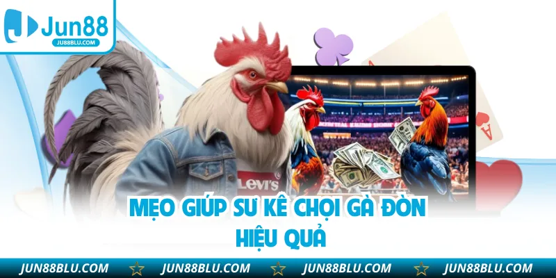 Mẹo giúp sư kê chọi gà đòn hiệu quả