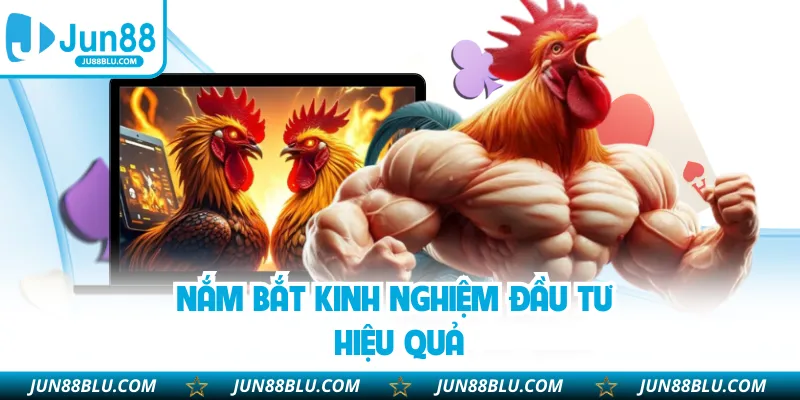 Nắm bắt kinh nghiệm đầu tư hiệu quả