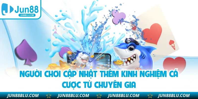 Người chơi cập nhật thêm kinh nghiệm cá cược từ chuyên gia