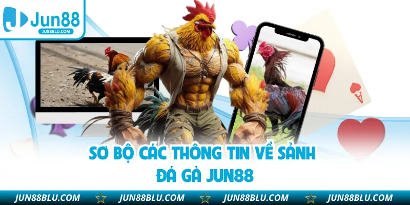 Sơ bộ các thông tin về sảnh đá gà JUN88