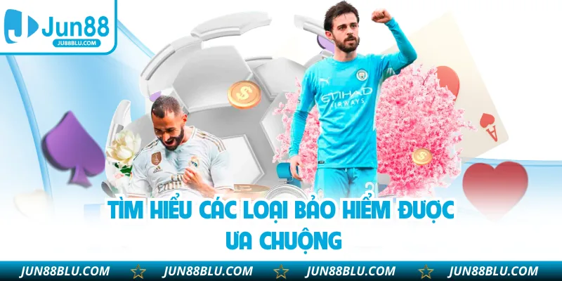 Tìm hiểu các loại bảo hiểm được ưa chuộng