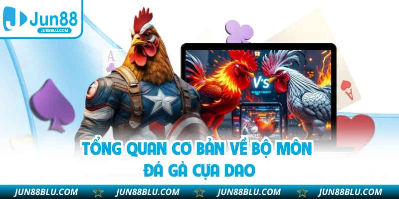 Tổng quan cơ bản về bộ môn đá gà cựa dao